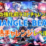 【パズドラ】続・灼熱のTRIANGLE BEAT　レベル3～【灼熱チャレンジ】