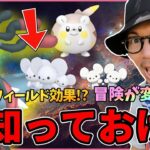 【ポケモンGO】実は・・・こう使える！新フィールド効果「メテオドライブ＆シャドーレイ」とは？超絶イケメンポケモン「メガルカリオ」が遂にやって来る！？【ウルトラアンロック】