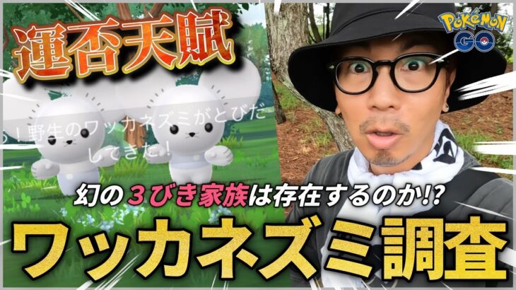 【ポケモンGO】速報です！えげつねぇネズミが登場したようです。【ワッカネズミ】