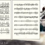 【メメントモリ】耳コピでエイルのラメント『Twilight Crack』を作ってみた。【楽譜】/music dictation Eir Lament”Twilight Crack”JPN ver