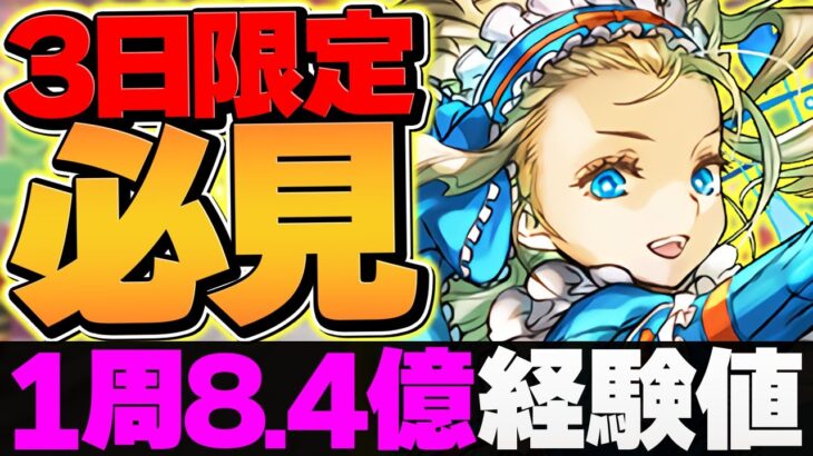 1周11分で”8.4億経験値”！ノアで裏機構城を周回しよう！代用&立ち回り解説！【パズドラ】