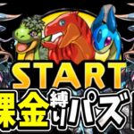 今のパズドラを無課金縛りでプレイしてみたら地獄すぎた【パズドラ】