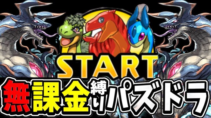 今のパズドラを無課金縛りでプレイしてみたら地獄すぎた【パズドラ】