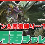 【パズドラドラゴン縛り】ドラゴン＆回復縛り!?『新万寿』チャレンジを初日クリアする配信