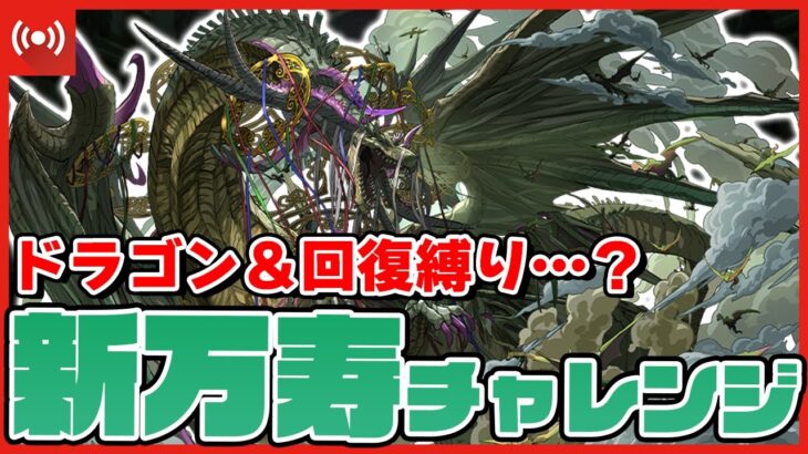 【パズドラドラゴン縛り】ドラゴン＆回復縛り!?『新万寿』チャレンジを初日クリアする配信