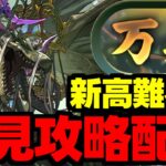 【生放送】新万寿初見攻略配信！新高難易度絶対勝つぞ～！【パズドラ】