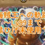 Lv99まで海賊王への軌跡攻略