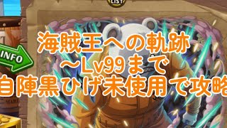 Lv99まで海賊王への軌跡攻略