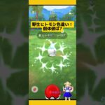 野生ヒトモシ色違い遭遇！個体値は?#ポケモンgo #ヒトモシ#野生 #色違い #pokemongo #新道ひかり