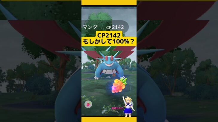 【100%出現】ボーマンダソロ挑戦でCP2142が出現した！#ポケモンgo #ボーマンダ #メガレイド #個体値100 #高個体値 #レイド #pokemongo #新道ひかり