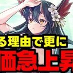 【評価急上昇】夏休みお市が今アツい！とある理由で更に評価が上がった夏休みお市について解説！【パズドラ】