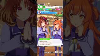 ウマ娘 プリティーダービー ノースフライト＆マヤノトップガン『『今』必要なもの』