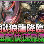 PAD パズドラ 狩獵獄狼龍！滅盡龍+獵人快刷！加上武裝部位破壞高達80%掉落！！獄狼龍降臨