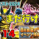 【8月クエスト2024】Lv14-ウルニート～若干危なげ～【パズドラ実況】