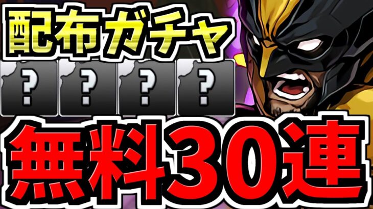 【無料30連】配布ガチャで最強キャラをGETしまくれ！ガチ過去一の神引き【パズドラ】