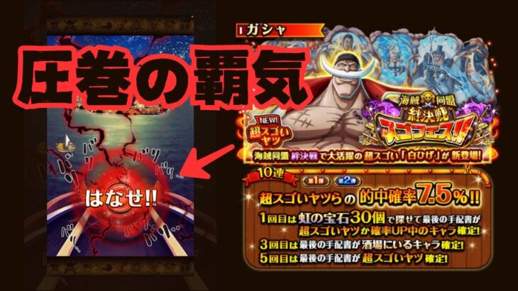 絆決戦がんばれってことか【ONE PIECE トレジャークルーズ】