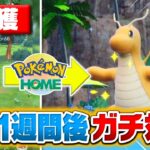 ポケモンGOで捕まえたポケモンしか使えない!? 過去一過酷な対戦企画に引きこもり廃人が挑戦した結果……