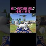 猫の殿堂飛行服が可愛すぎる#テストサーバー #荒野行動 #shorts