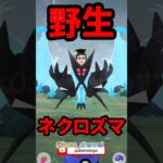 【ポケモンGO】最高の相棒になれたら出てきたネクロズマ！ #野生ネクロズマ #ネクロズマ #最高の相棒 #2024年8月29日