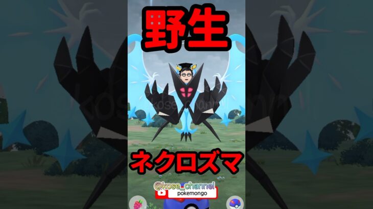 【ポケモンGO】最高の相棒になれたら出てきたネクロズマ！ #野生ネクロズマ #ネクロズマ #最高の相棒 #2024年8月29日