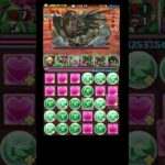 【新万寿チャレンジ】ヴェルドラ編成で攻略！ #パズドラ #新万寿チャレンジ