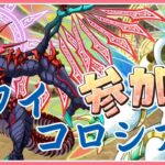 【パズドラ3人マルチ】最終日！パズドラZコロシアムで遊ぶ！参加者募集！【石回収歓迎】