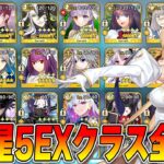 【FGO】福袋に向けて限定星5エクストラクラス全解説！【増えすぎ】