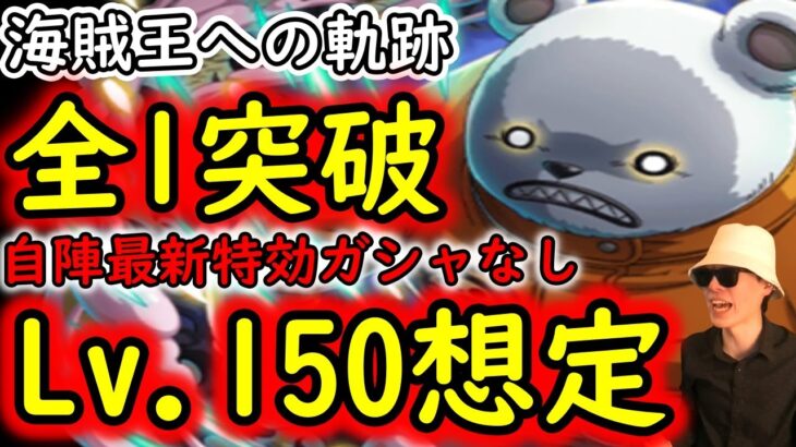 [トレクル]海賊王への軌跡ベポLv150想定! 自陣最新ガシャキャラなし全1突破お宝マシマシ周回編成[OPTC]