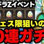 【ガチャ動画】パズドラZの新ガチャがヤバすぎる！新フェス限狙いの30連ガチャ！【パズドラ】