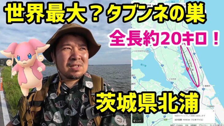 【ポケモンGO】世界一？のタブンネの巣があると聞いて【夏休みSPハスラー茨城横断】