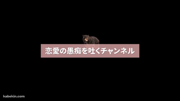 【パズドライブ】 クロクマのパズドラ何かやる！！ 2024.8.31.