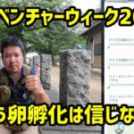 【ポケモンGO】卵孵化の色違い出やすいは信じない アドベンチャーウィーク