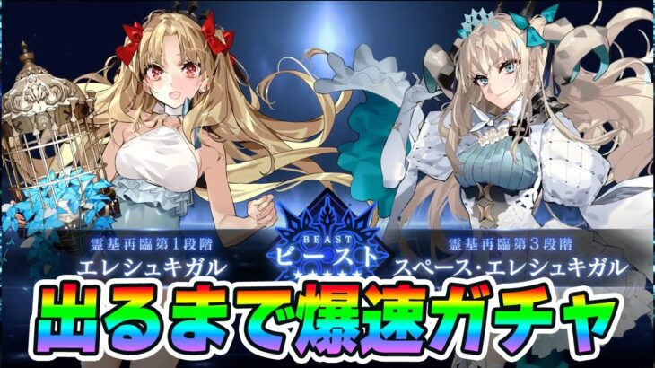 【FGO】ビーストエレシュキガルが宝具重なるまで引いていく！