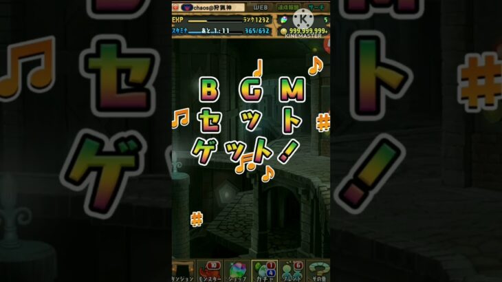 【パズドラ】Android12周年記念スーパーゴッドフェスを引いたら空前絶後の神引きをしました#shorts