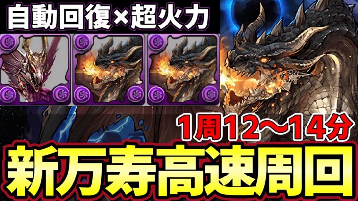 【パズドラ】超高速新万寿周回編成‼︎ミラボレアスがこんなに強いなんて‼︎メルゼナ持ってるなら絶対作って欲しい‼︎【パズドラ実況】