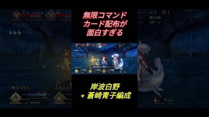 【FGO】岸波白野のスキル１でコマンドカードを無限に配り直す蒼崎青子