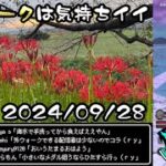 【ドラクエウォークLive】吉見のさくら提公園の曼殊沙華へ早朝散歩【ツイキャス同時配信】