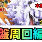 トレジャーマップVSルフィ 序盤周回6編成！全1攻略！ポイント重視の序盤におすすめの周回編成紹介！全VS戦の編成徹底紹介！！ #1121 新キャラ無し 【トレクル】