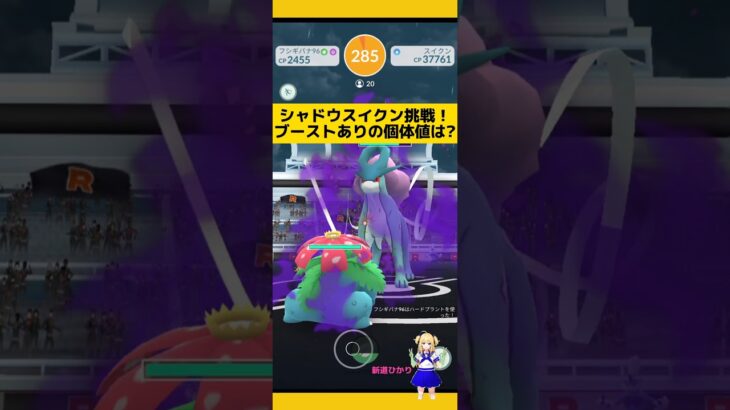 強すぎシャドウスイクンに挑戦！個体値は?#ポケモンgo #シャドウポケモン #スイクン #伝説レイド #pokemongo #新道ひかり