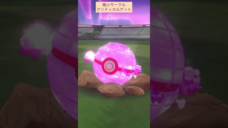 【難易度中】ダイマックスフシギダネ極小サークルクリティカルゲット！【ポケモンGO】