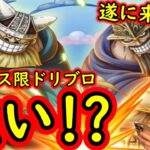 [トレクル]新フェス限ドリー＆ブロギー来る! 神避シャンクスのための性能!? 覇国コンビは引くべき!?[OPTC]