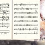 【メメントモリ】耳コピでガルムのラメント『ポコ・ア・ポコ』を作ってみた。【楽譜】再録/music dictation Garmr “Poco A Poco”JPN Re-recording ver