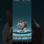 色違いウールー進化【ポケモンGO】