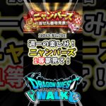 【ドラクエウォーク】24年9月2日当選発表！まずは２等を当てたい！ニャンバーズ運よ～輝け！【DQW】