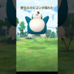 ポケモンGO野生のカビゴンがあらわれた #shorts @pokemongo