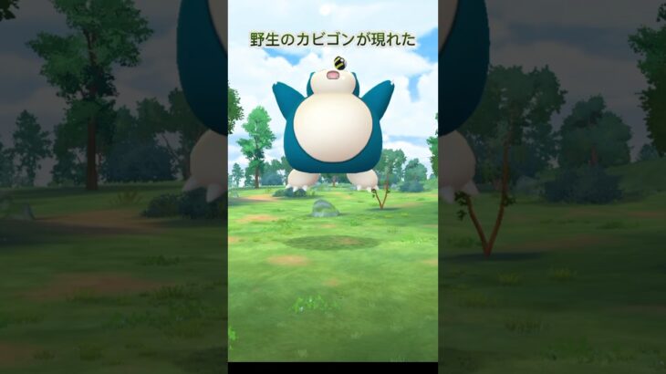 ポケモンGO野生のカビゴンがあらわれた #shorts @pokemongo