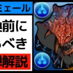 【ネロミェール】交換するなら絶対観て！弾35体を辛めに解説！最悪0体にするリスクについても紹介【パズドラ】