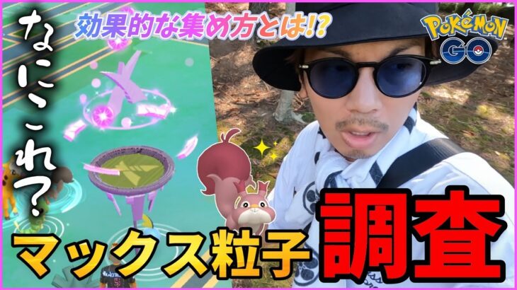 【ポケモンGO】突如姿を表したパワースポット！！「マックス粒子」ってなんぞ！？事態を解明すべく、その実態を徹底調査だ！！【ダイマックス迫る】