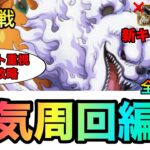 トレジャーマップVSベポ 本気周回6編成！全1攻略！ポイントと周回速度重視の編成紹介！全VS戦の編成徹底紹介！！ #1119 新キャラ無し 【トレクル】