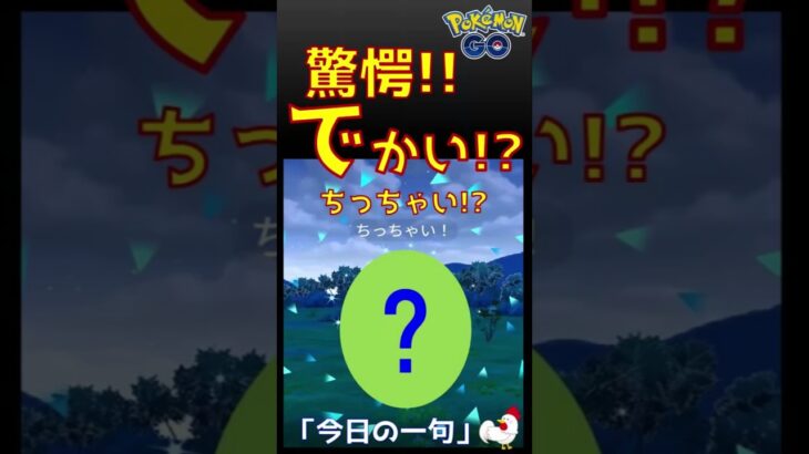 【驚愕ポケモン出現！謎かけ俳句、でかい？ちっちゃい？s】 #ポケモンgo #pokemongo #驚愕 #びっくり #ポケモン